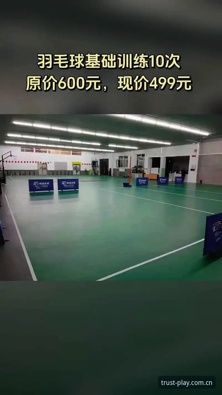 球速体育平台VS传统娱乐应用：球速娱乐下载安装最新版体验全面对比