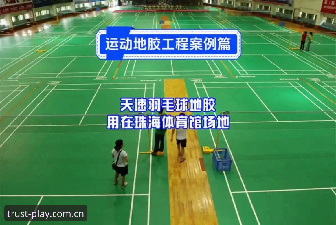 球速体育平台最新版本下载与使用教程：从安装到畅玩全指南